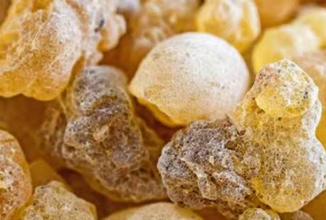 보스웰리아 먹는방법