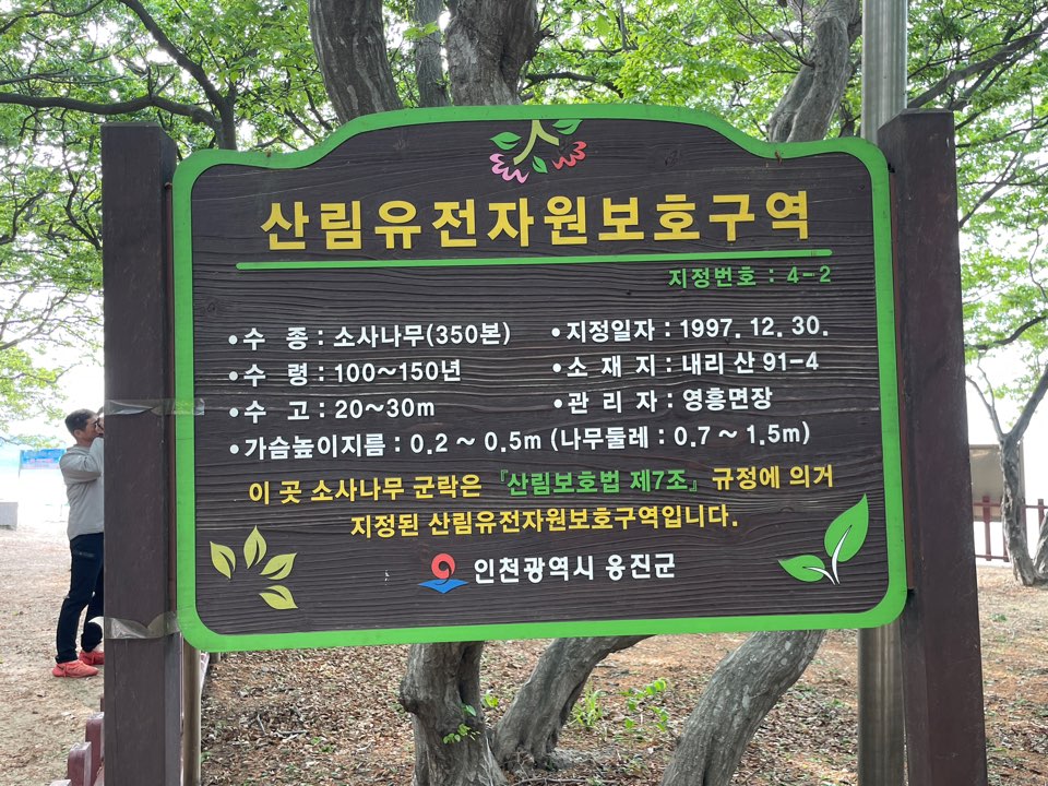 영흥도 십리포