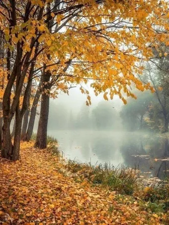 영화 가을의 전설 Legends of the Fall OST 중 James Horner The Ludlows 듣기MV로 소개_15