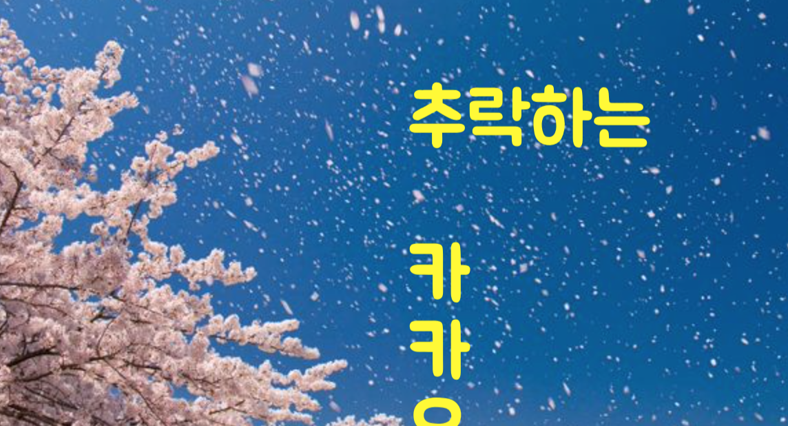 벚꽃이 지는 이미지