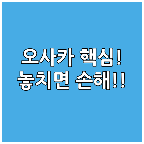 오사카 난바 신사이바시 호텔 5곳 쇼..