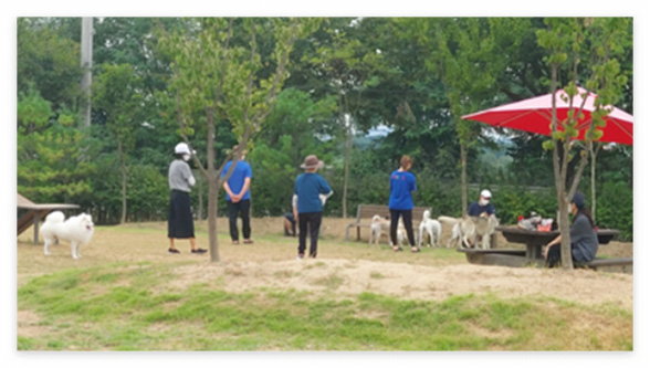 태산패밀리파크 반려견 놀이터