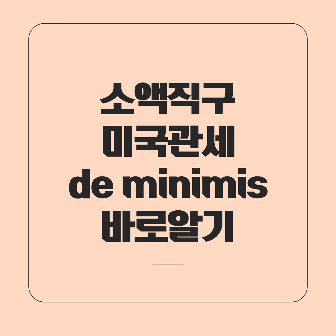 디미니미스 총정리