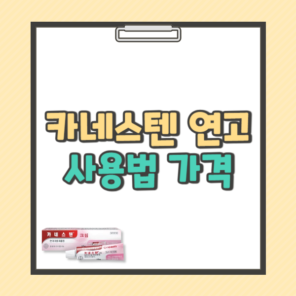 카네스텐 연고 효과 사용법 가격