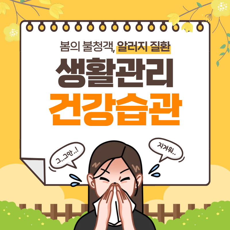 알레르기 예방을 위한 생활 관리와 건강 습관 완벽 가이드
