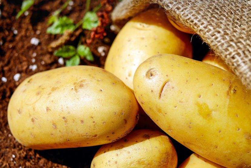 뜨거운감자 썸네일