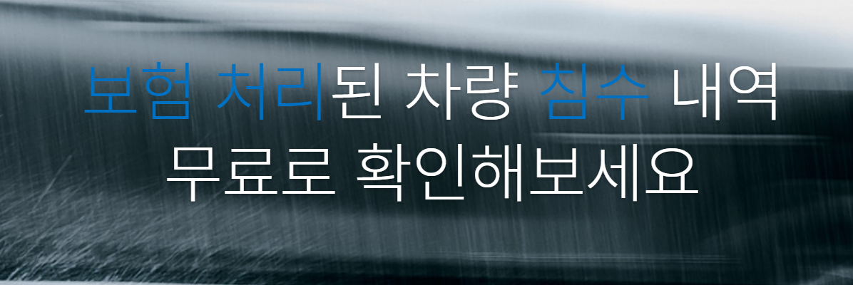 카히스토리 침수차 조회