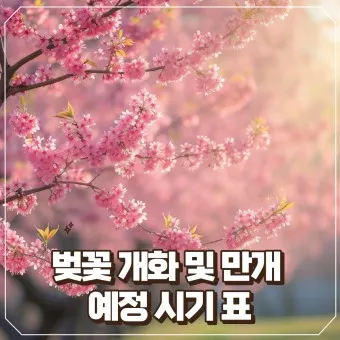 벚꽃 개화시기 2025 만개시기 히든스팟_5