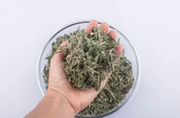 야관문 효능효과 먹는방법&amp;#44; 부작용