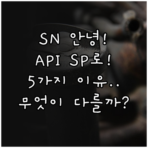 더 이상 SN은 안녕, API SP로..