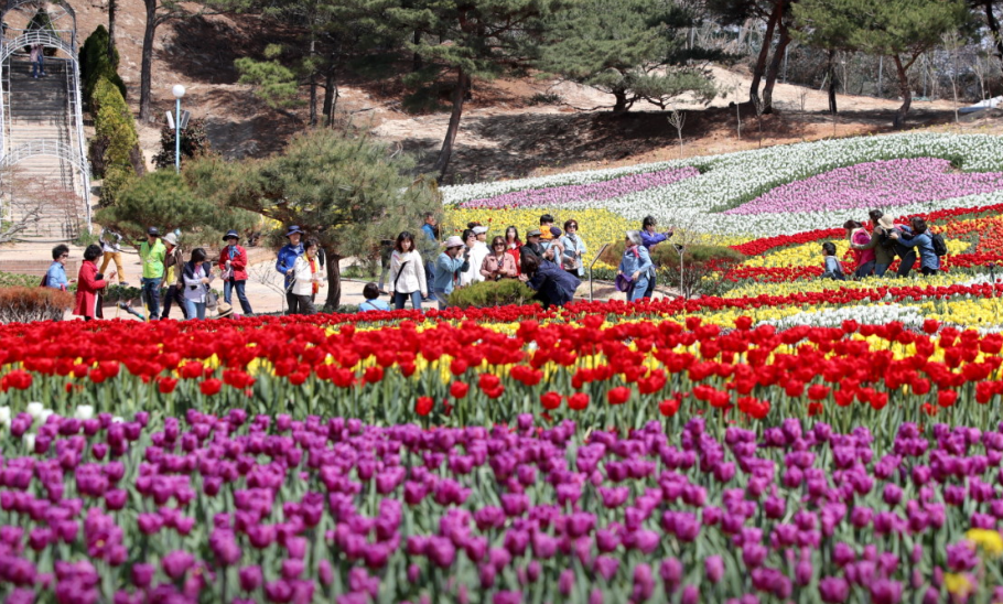 코리아플라워파크 정보 안내