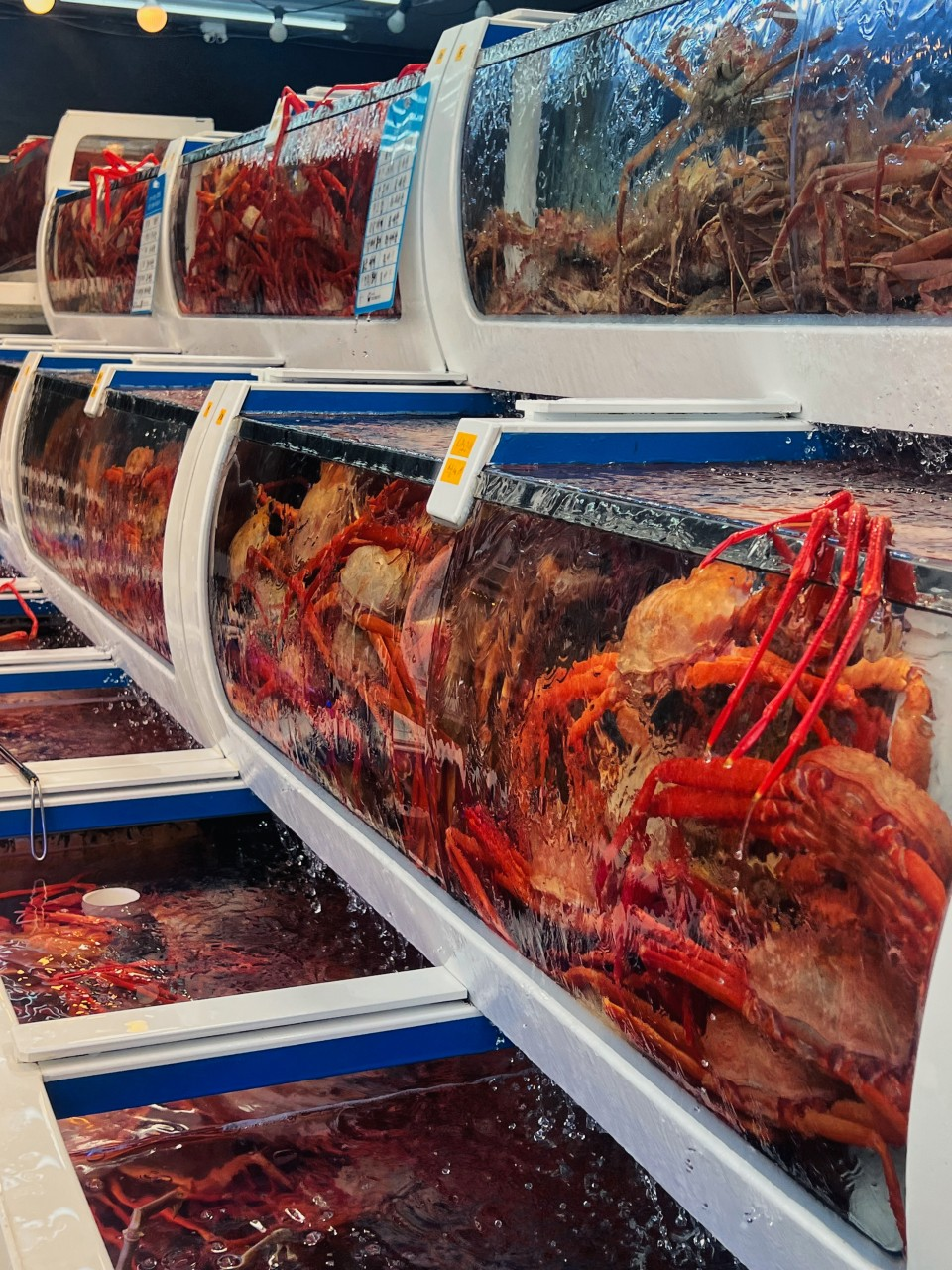 울진 후포항 맛집 추천