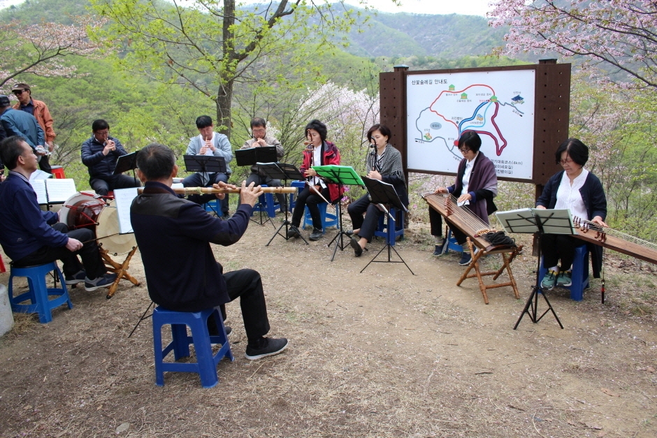 2024 금산 보곡산골 산벚꽃축제 기본정보와 프로그램 소개