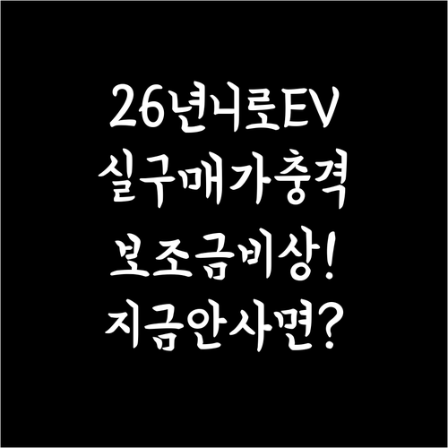 2026년 니로 EV 실구매가 분석 ..