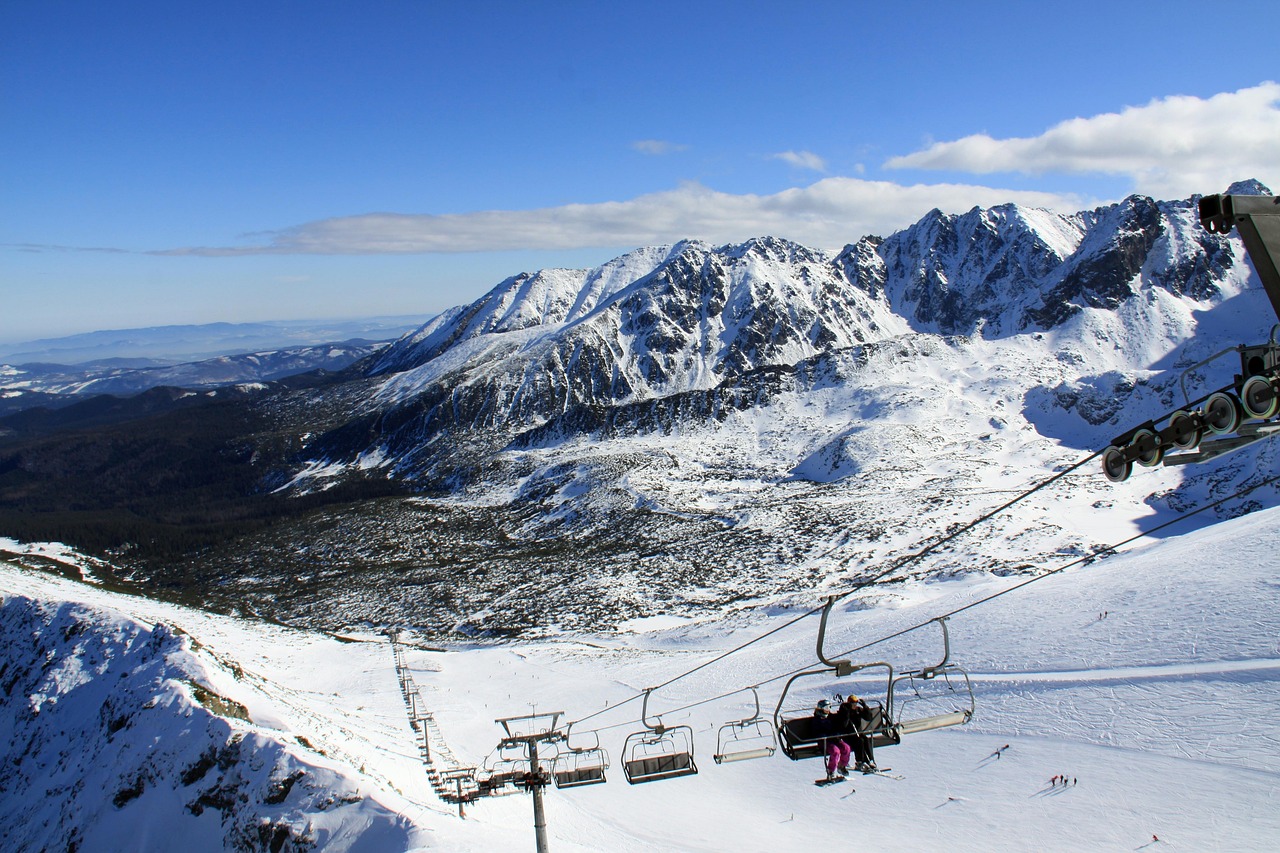 비염에 좋은 영양제