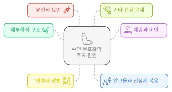 수면무호흡-원인