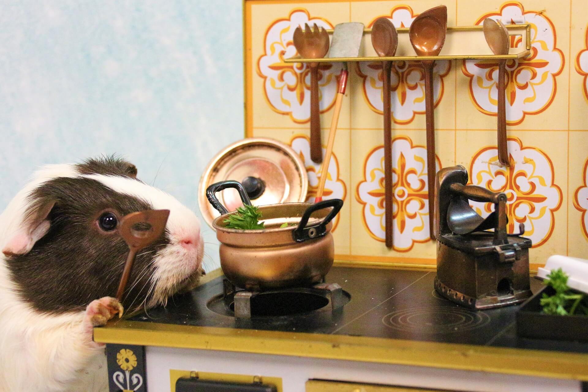 건강한 식사준비