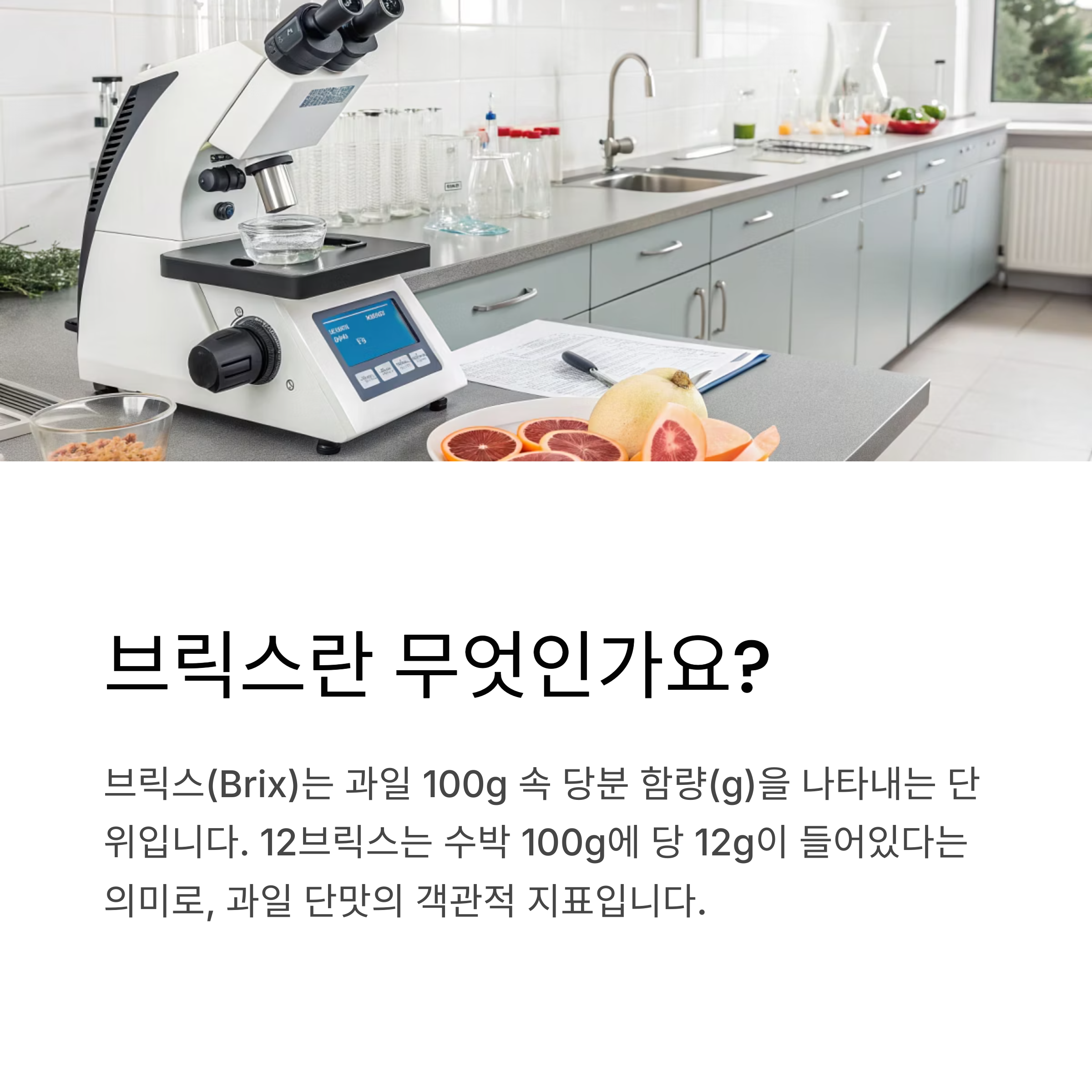 브릭스란 무엇인가요?