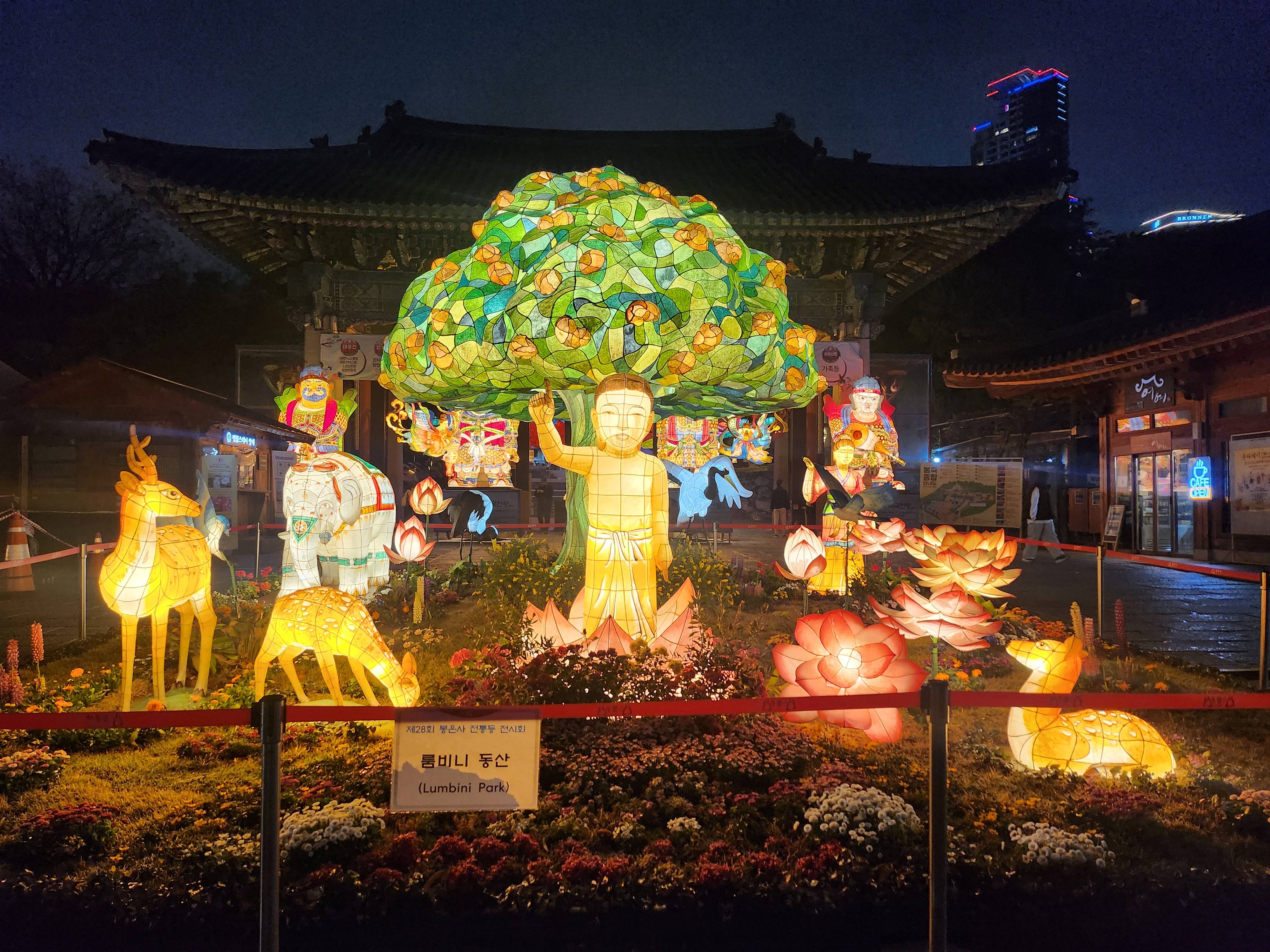 2025. 4. 19. 봉은사 연등제 야경 산책 후기 (겹벚꽃, 라일락, 홍매화 개화상황 포함)