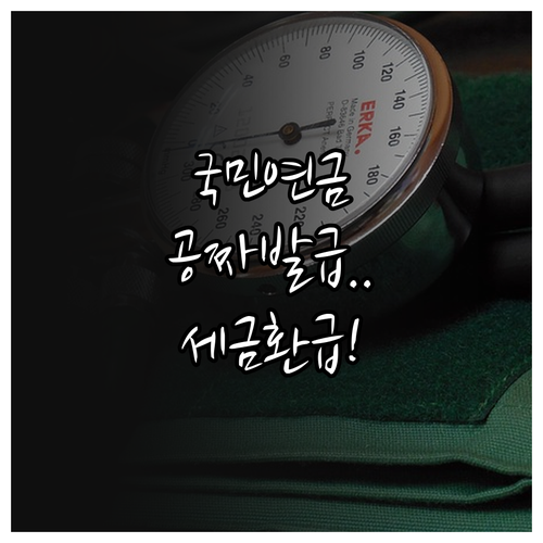 국민연금 보험료 납부확인서 온라인 무..