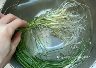 달래 손질 방법 달래장 맛있게 꿀팁_17