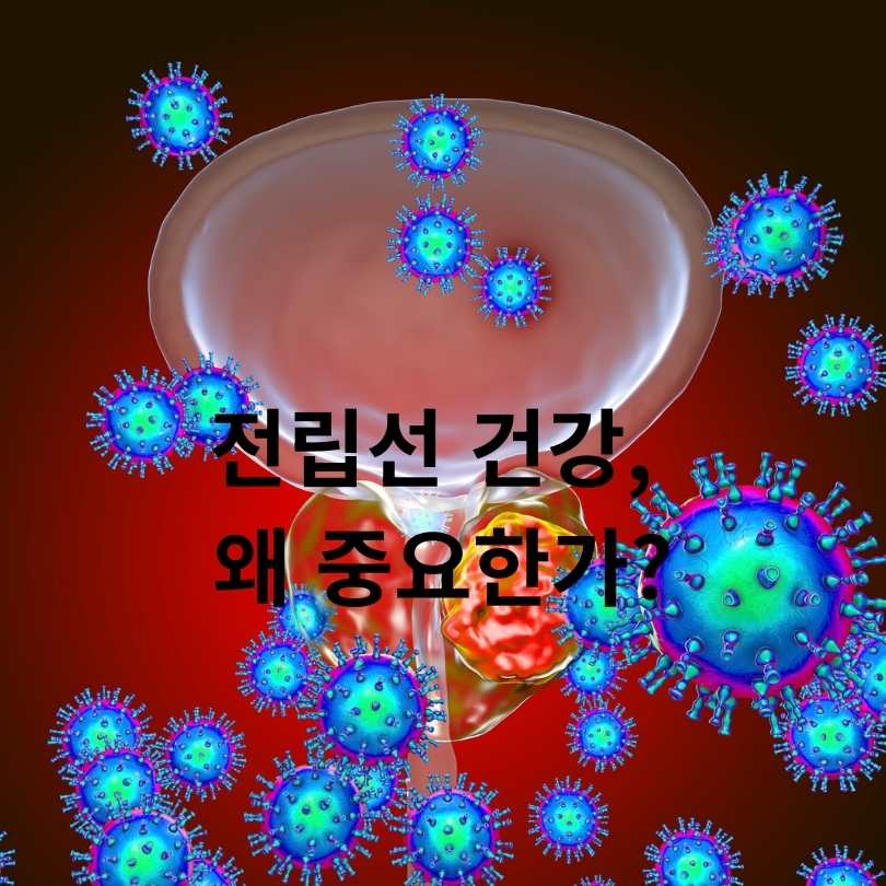 전립선 건강 유지 방법