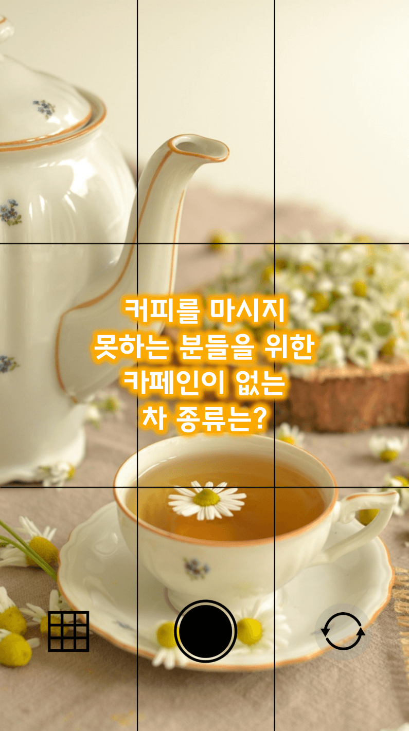 커피 못마시는 분들 위한 카페인 없는 차 종류