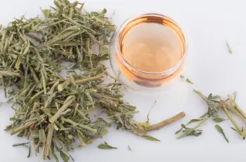 야관문 효능효과 먹는방법&amp;#44; 부작용