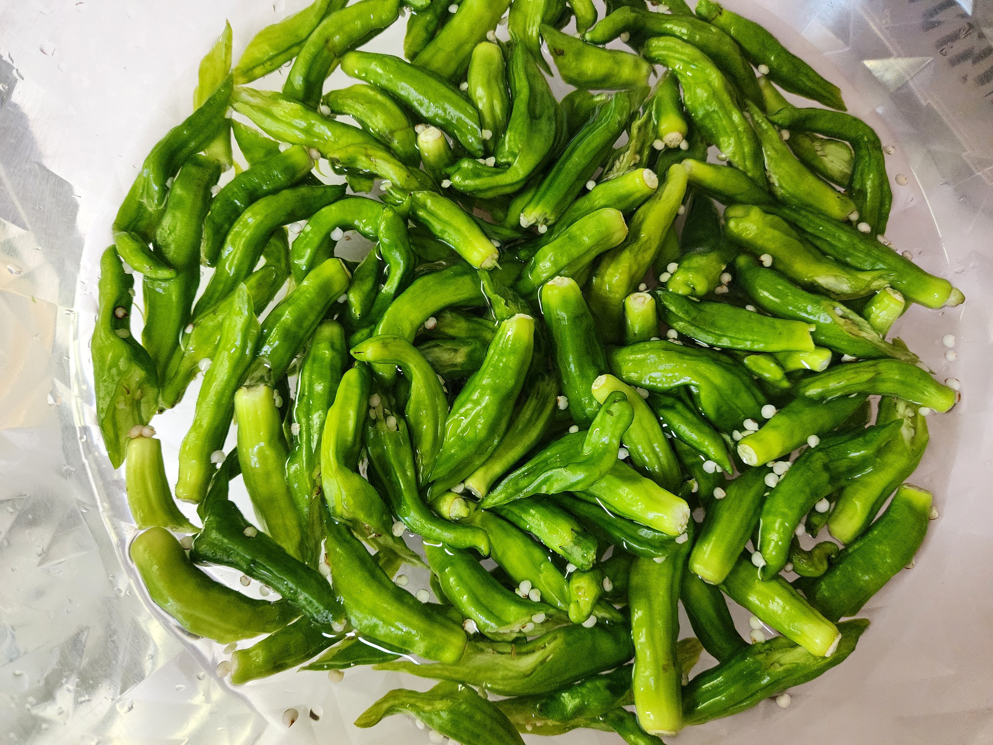 꽈리고추 멸치볶음 황금레시피