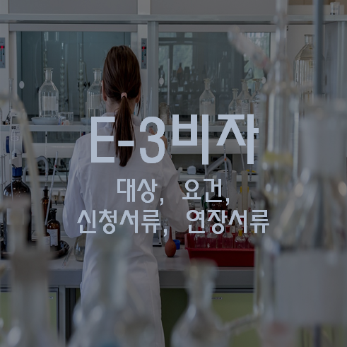 E3 비자