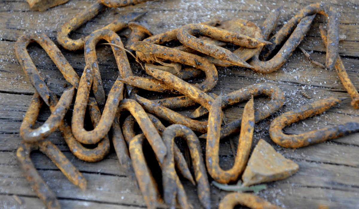 조기폐차_대상차량_확인_5