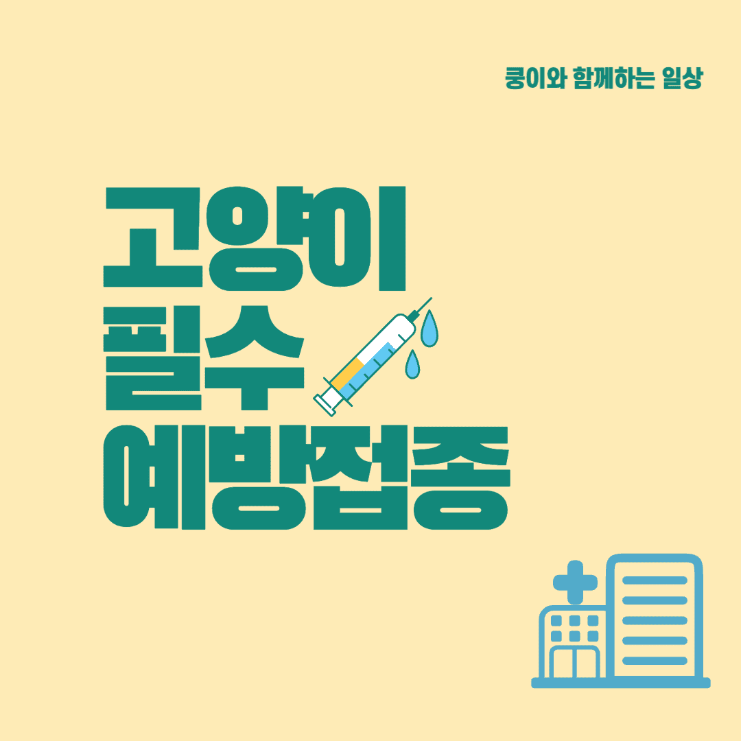 고양이 필수 예방접종