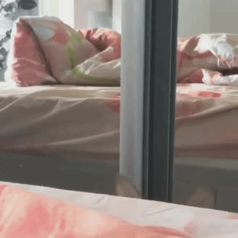 귀여운 고양이 움짤