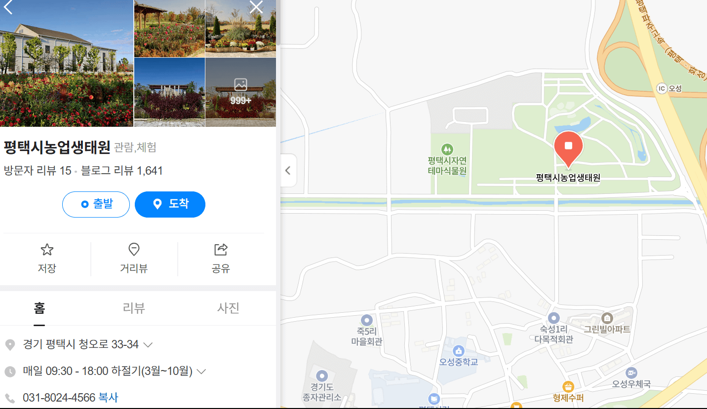 2025년 평택 꽃나들이 튤립-평택 꽃나들이