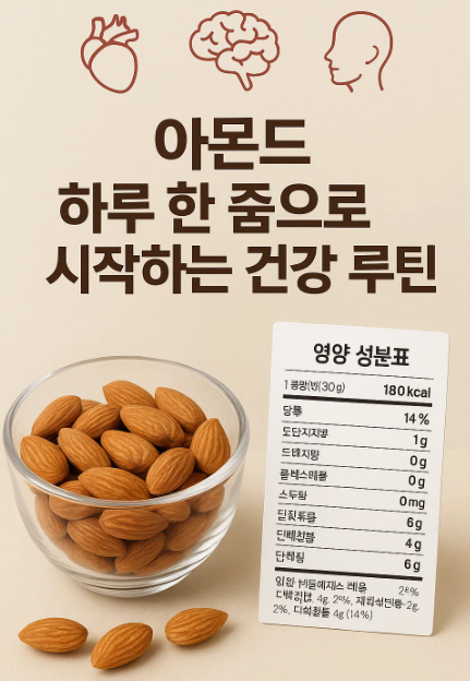 아몬드, 하루 한 줌으로 시작하는 건강 루틴