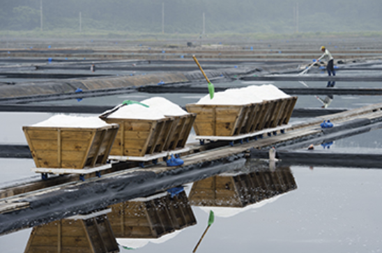 태평염전 이미지