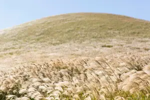 제주도 렌트카 저렴한곳