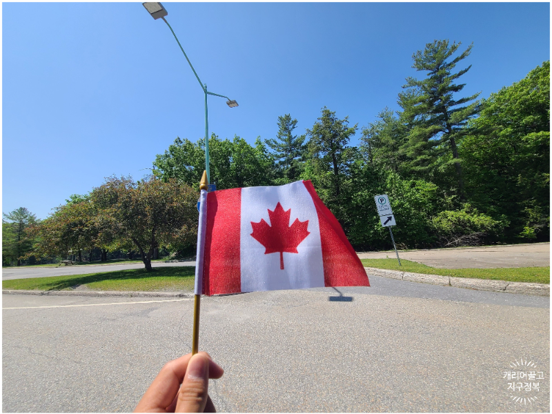 Canada Tax Free