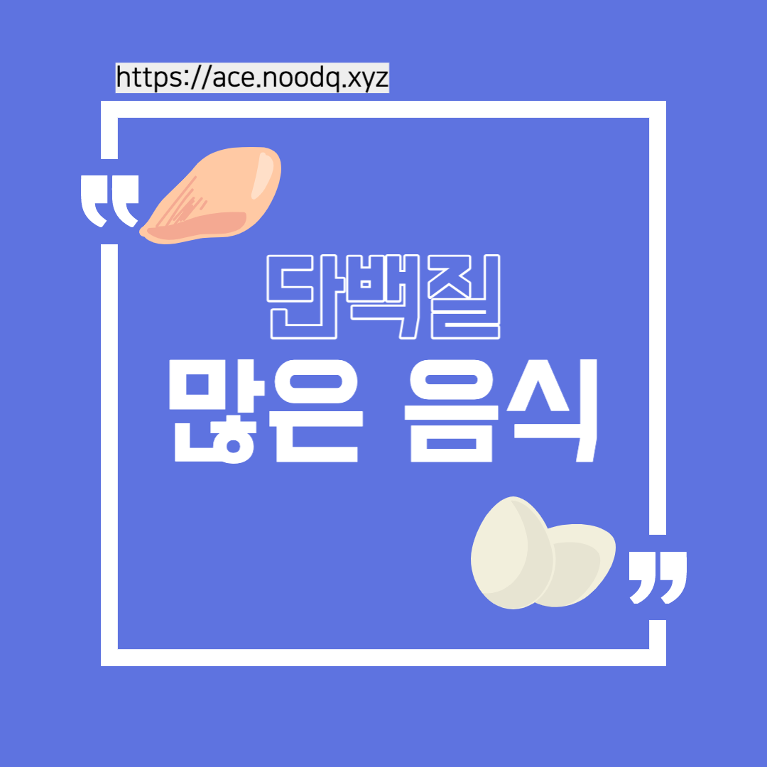 단백질 많은 음식