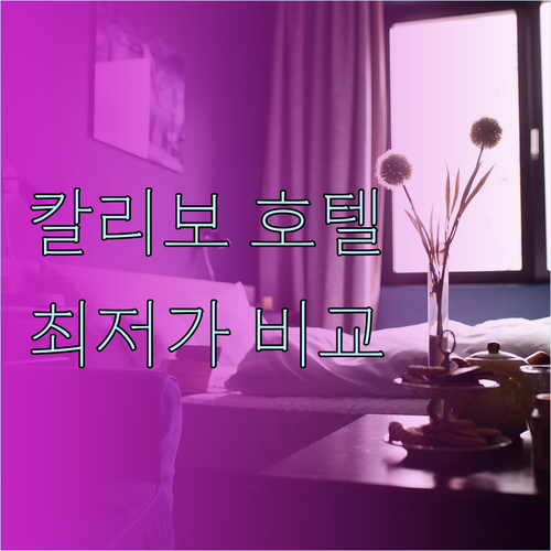 칼리보 호텔 추천 6곳 비교분석 최저