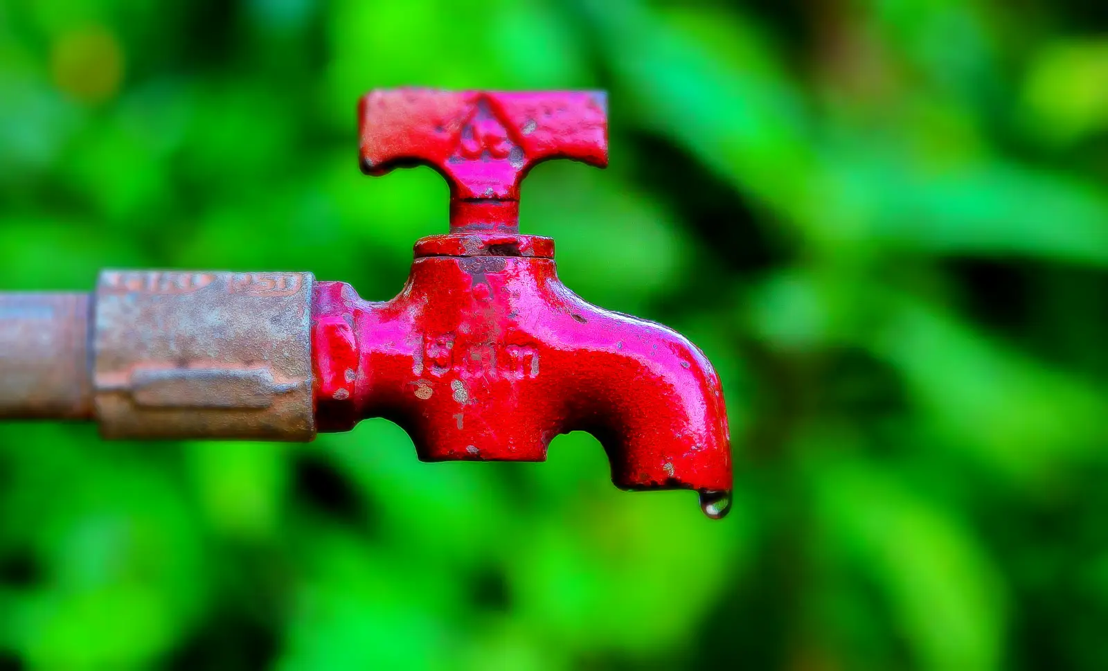 가뭄, 폭염으로 대구 수돗물 공급에 비상이 걸렸다