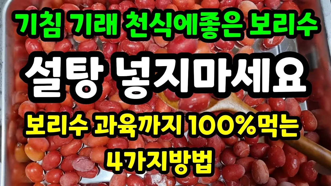 보리수 열매 부작용 증상 효능 관련 정보 총정리_2