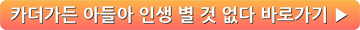 카더가든 아들아 인생 별 것 없다_5