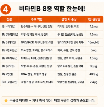비타민b컴플렉스-효과-추천-섭취시간-부작용-뜻-추천제품