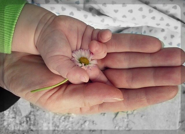 청소 가사 도우미