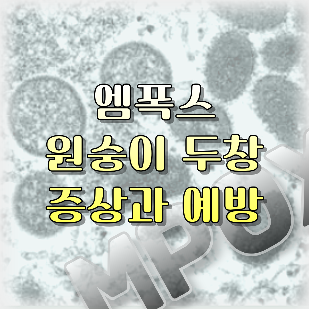 썸네일 엠폭스 증상과 예방