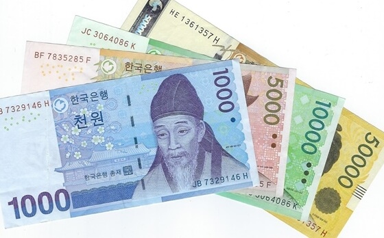 청년 월세 한시 특별지원 자격 조건