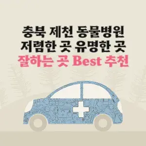 제천 동물병원 잘하는 곳 가격 저렴한 곳 추천