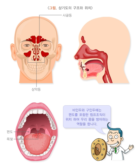 환절기 감기 예방법