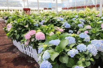 제주 여름 축제 일정표 불꽃놀이 포함 행사 소개_6